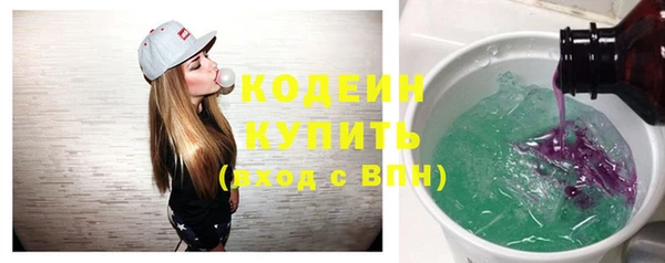 амф Бородино