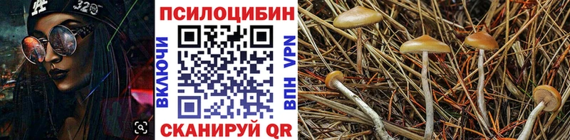 мега зеркало  Дно  Галлюциногенные грибы мухоморы 